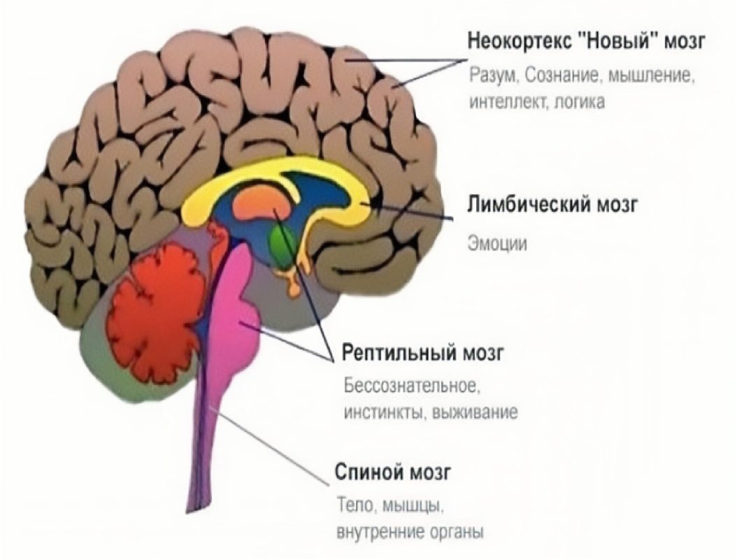 Самая быстрая работа с подсознанием: Тайный ключ к исполнению всех ...