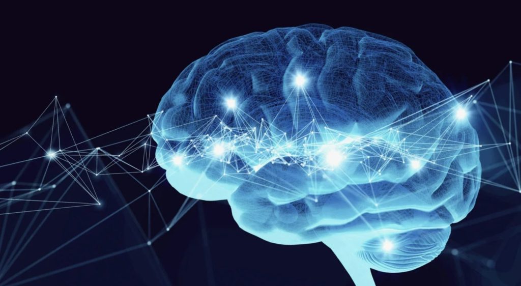 Как развить оба полушария мозга, чтобы стать гением?